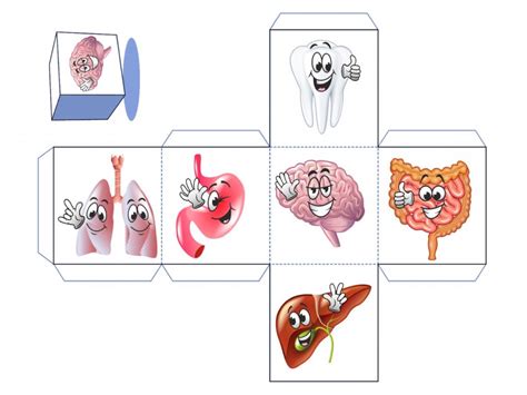 Dados Y Fichas Para Trabajar De Forma Divertida Las Diferentes Partes Del Cuerpo