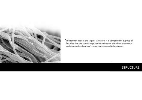 FIBERMESH | the connection – IAAC Blog