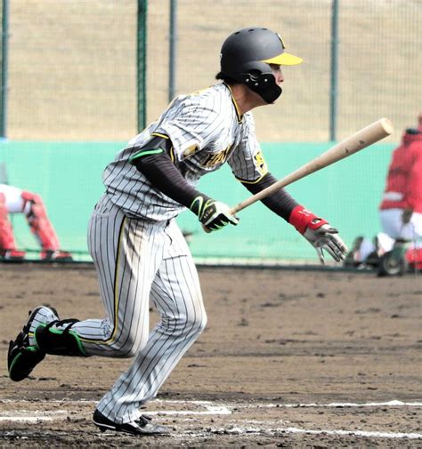 阪神・高寺 対外試合6戦連続安打と絶好調 またもマルチ安打で打率・565阪神タイガースデイリースポーツ Online