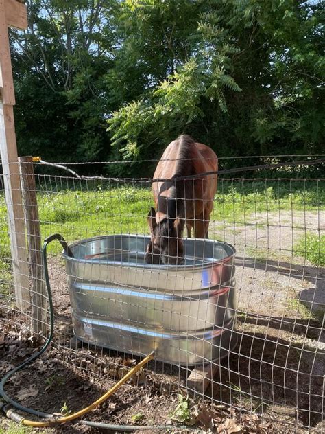 Countyline Gal Oval Galvanized Stock Tank Ft X Ft X Ft