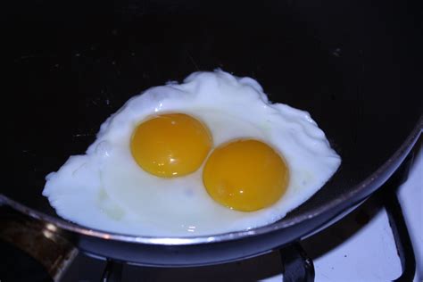 Double Yolks Birdnote