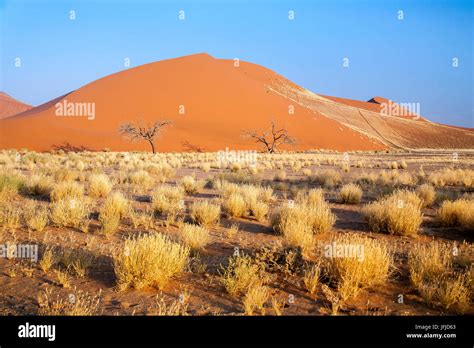 Dune The Star Dune Composed Of Million Year Old Sand Sossusvlei