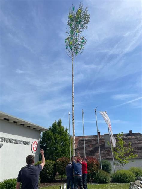 Maibaum Aufstellen Arbeiter Samariter Bund Sterreichs