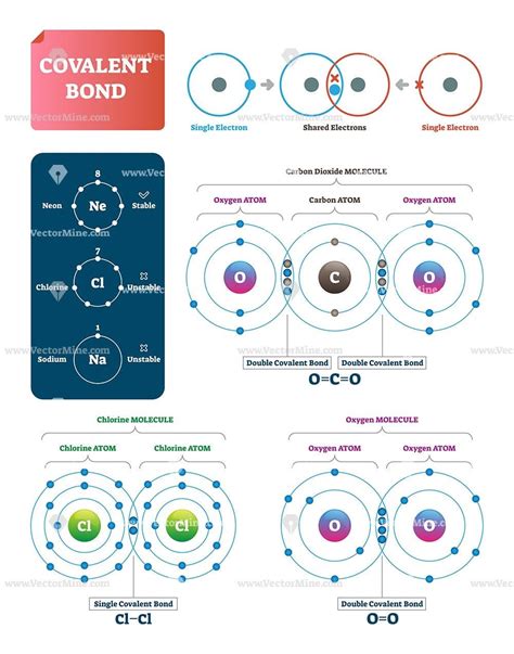 Covalent bond vector illustration. Process explanation labeled diagram ...