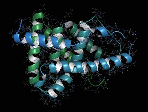 Secondary Structural Information of Protein-Ligand Complex | RedShiftBio