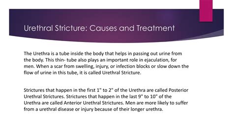 PPT - Urethral Stricture-Causes and Treatment PowerPoint Presentation ...