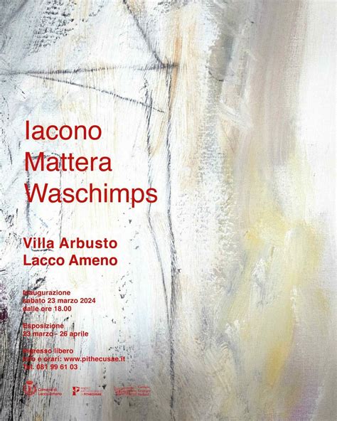 Lacco Ameno Iacono Mattera Waschimps Mostra D Arte Contemporanea