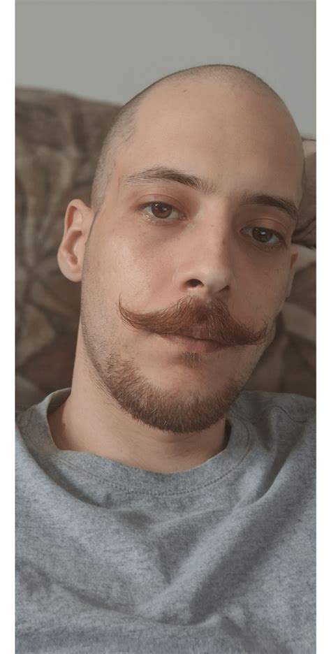 Handlebar update : r/Moustache