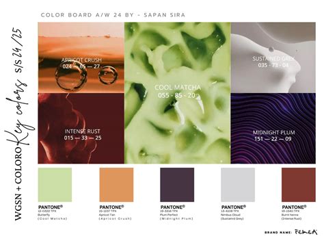 Wgsn Key Colors A W 24 25 Artofit