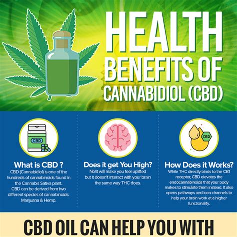 Infographic Healthy Benefits Of Cbd Oil