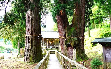 色彩豊かな山々に囲まれた山中温泉～開湯1300年のお湯で体の芯まで温めて～ びゅうトラベル（jr東日本）