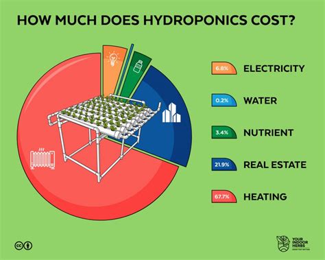 How Much Hydroponics Cost Bills And Real Case Example Your Indoor