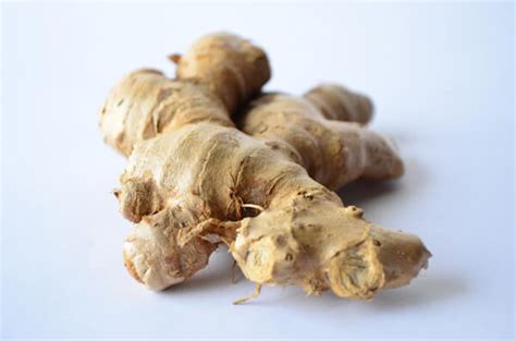 Ginger Essential Oil Zingiber Officinale 133 Garden Mother