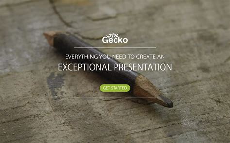 Gecko Portfolio Ppt