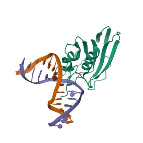 Rcsb Pdb E D Crystal Structure Of Double Stranded Dna Deaminase