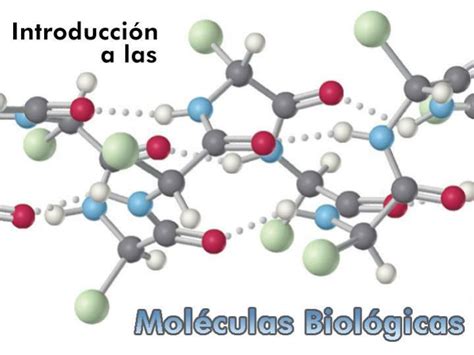 PPT COMPOSICIÓN DE LA MATERIA VIVA PowerPoint Presentation free