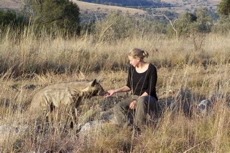 Volunteer at the Kevin Richardson Wildlife Sanctuary - The Lion Whisperer