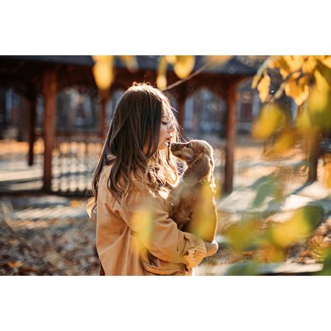 Boost Your Dog's Immune System Naturally | Probiotics and Supplements