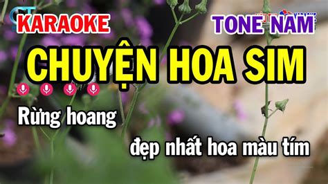 Karaoke Chuyện Hoa Sim Tone Nam Cm Nhạc Sống Mới Karaoke Siêu