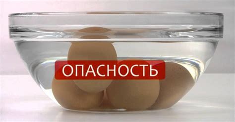 Это необходимо знать всем без исключения! Как проверить яйца на ...