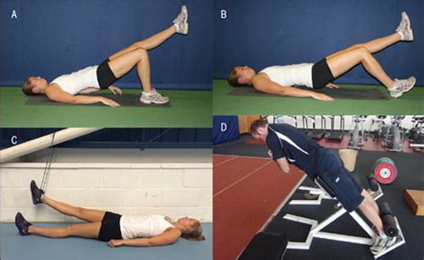 Proximal Hamstring Tendinopathy Clinical Aspects Of Assessment And