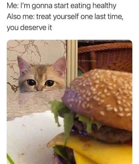 People Have Some Strong Opinions About Burgers 40 Memes