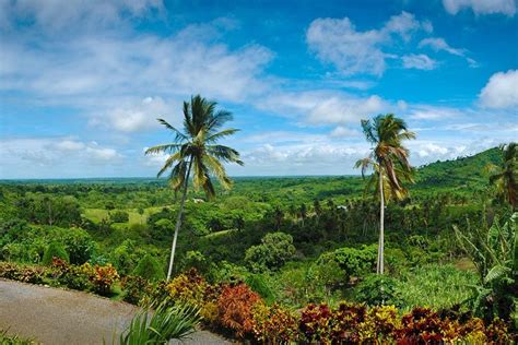 Outback Safari Tour From Punta Cana: Triphobo