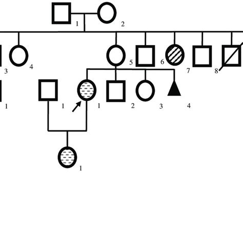 Clinical Features Of The Patient A Hyperextensibility Of The Skin