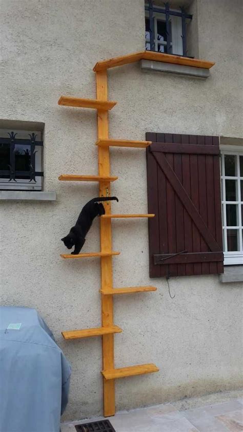 Cat Stairs And Shelves For Indoor Cat Play