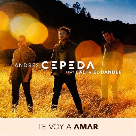 Andr S Cepeda Te Voy A Amar Lyrics Genius Lyrics