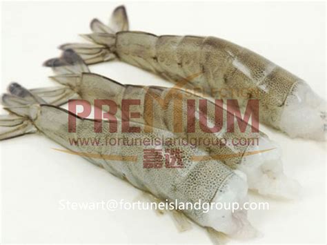 Raw Vannamei Shrimp Hlso 2 Fuzhou Premium Selection Food Co Ltd 福州鑫