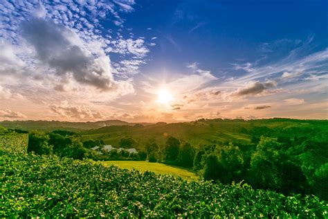 Byrons Brae - Byron Bay - Hinterland View b - Byron Visitor Centre