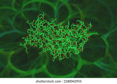 Categor A Klebsiella Pneumoniae De Fotos Im Genes E Ilustraciones