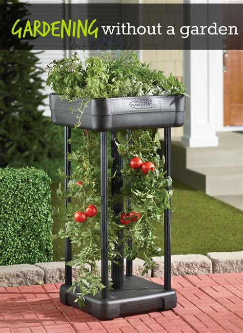 Rolling Self Watering Tomato Planter With Metal Trellis - Barn mirror ...