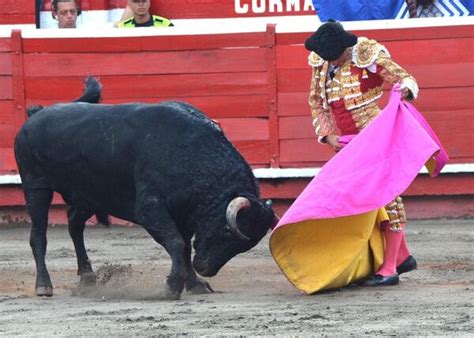 El Placo De William Cortes 7 Voy A Los Toros