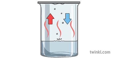 Condensation and Evaporation Illustration - Twinkl