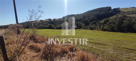 Rea Rural Para Plantio Interior De Ampere Pr Ampere Pr Investir