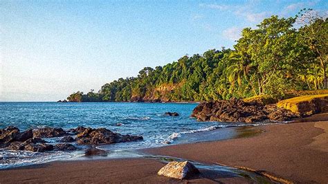 Fun Things To Do In Playa Manuel Antonio Beach Costa Rica