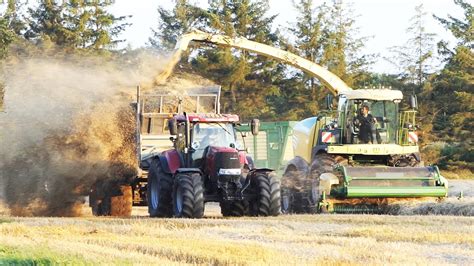 Krone Big X 630 In The Field Chopping Straw For Biogas Plant Silage