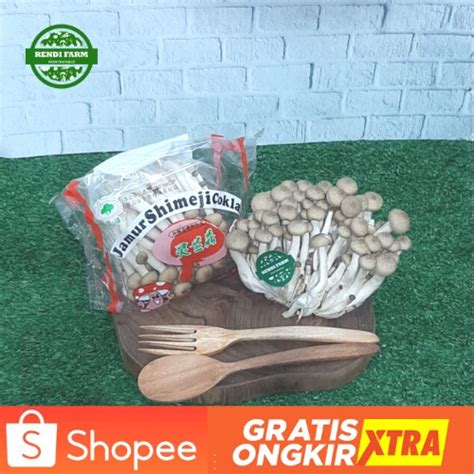 Jual JAMUR JAMUR SHIMEJI COKLAT JAMUR SHIMEJI SHIMEJI SEGAR Shopee