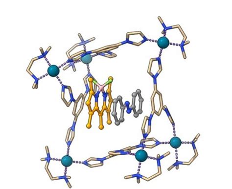 Molecular Cage Hosts An Azoben Image Eurekalert Science News Releases