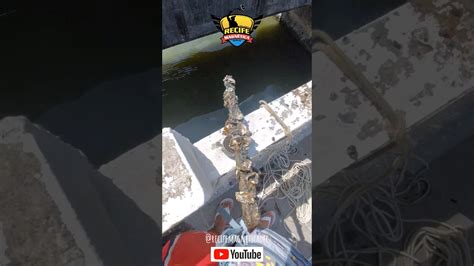 achados muitas ostras e cracas na pesca magnética na ponte do Janga