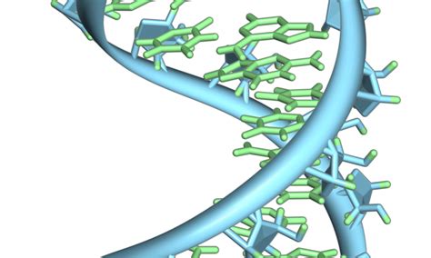 ‘The RNA World’ Hypothesis for Origin of Life May Not Be Sufficient ...