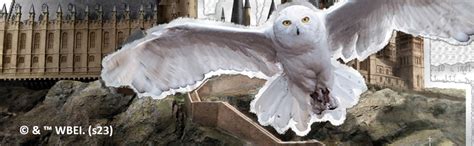 Amazon Wizarding World HARRY POTTER Hot Chocolate Mug Gift Set Includes 2 Color Changing