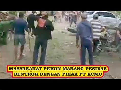 Warga Pekon Marang Pesibar Bentrok Dengan Pihak Perusahaan PT KCMU