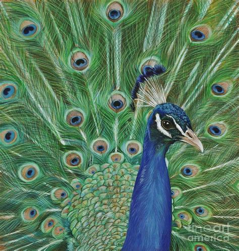 Em Geral 97 Imagen Peacock Drawing With Oil Pastel Colour El último