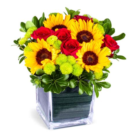 Sunny Sunflowers and Red roses Flower Delivery Newark DE - Kirk's Flowers Inc.