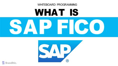 What Is Sap Fico Explained Introduction To Sap Fico Overview And Basics