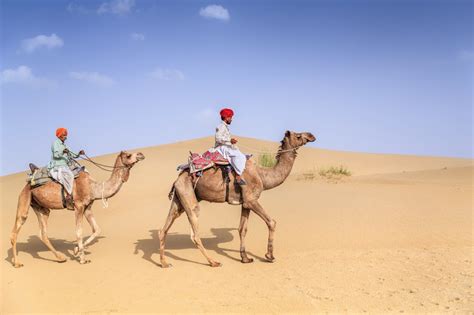 Go on a camel safari in the Thar Desert | Timbuktu Travel