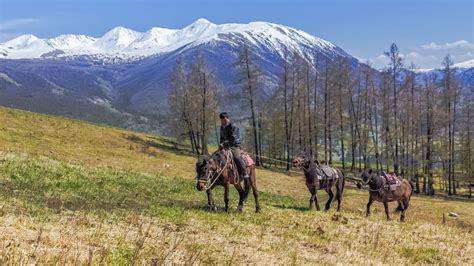 Altai - Top Spots for this Photo Theme